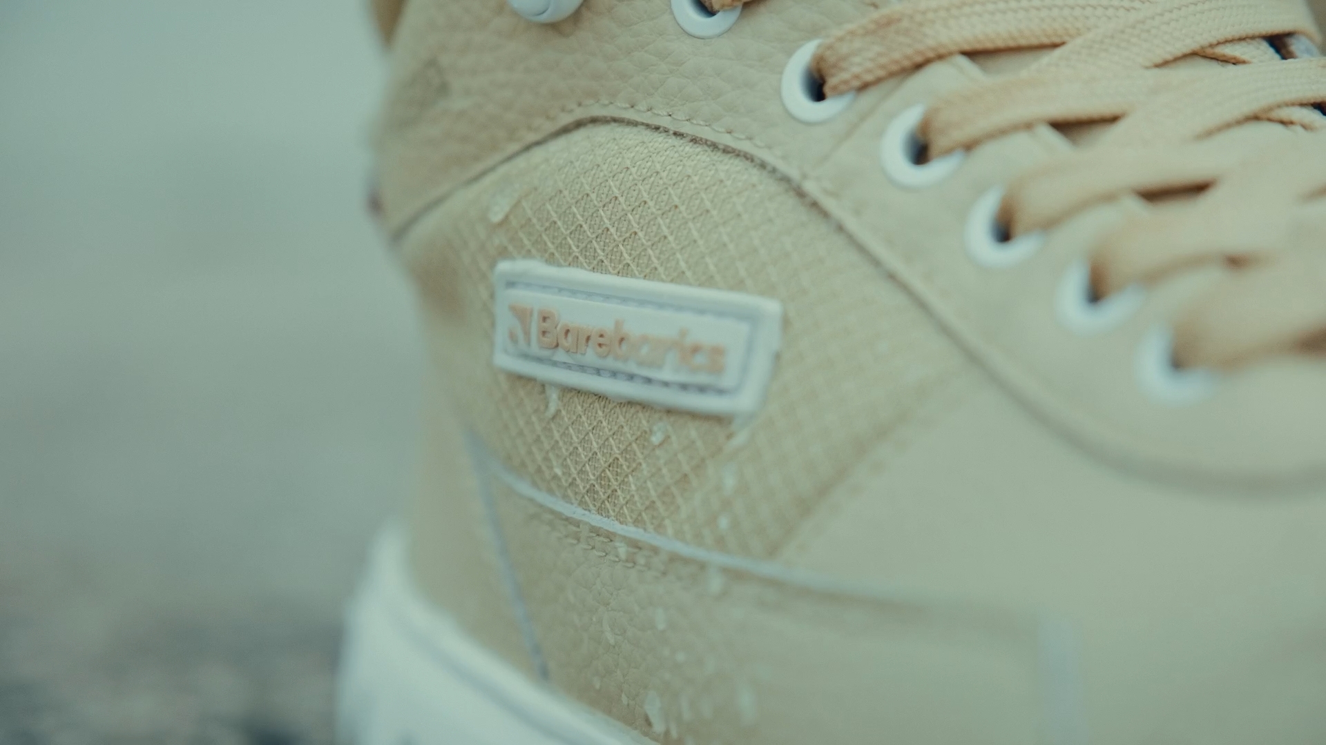 Barebarics